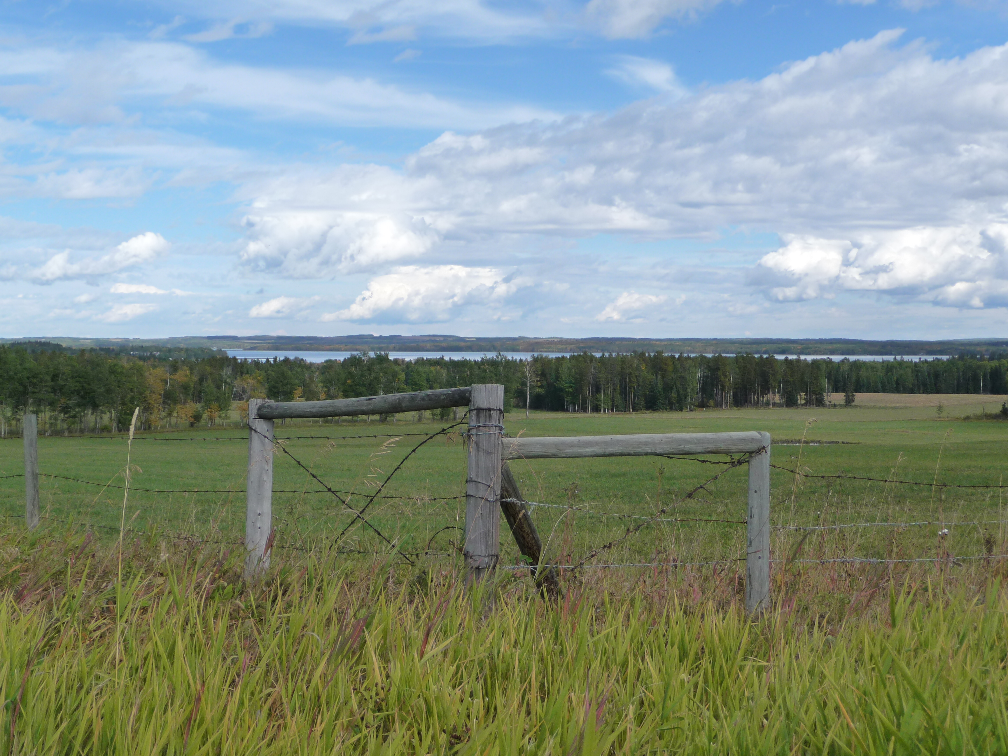 buck lake